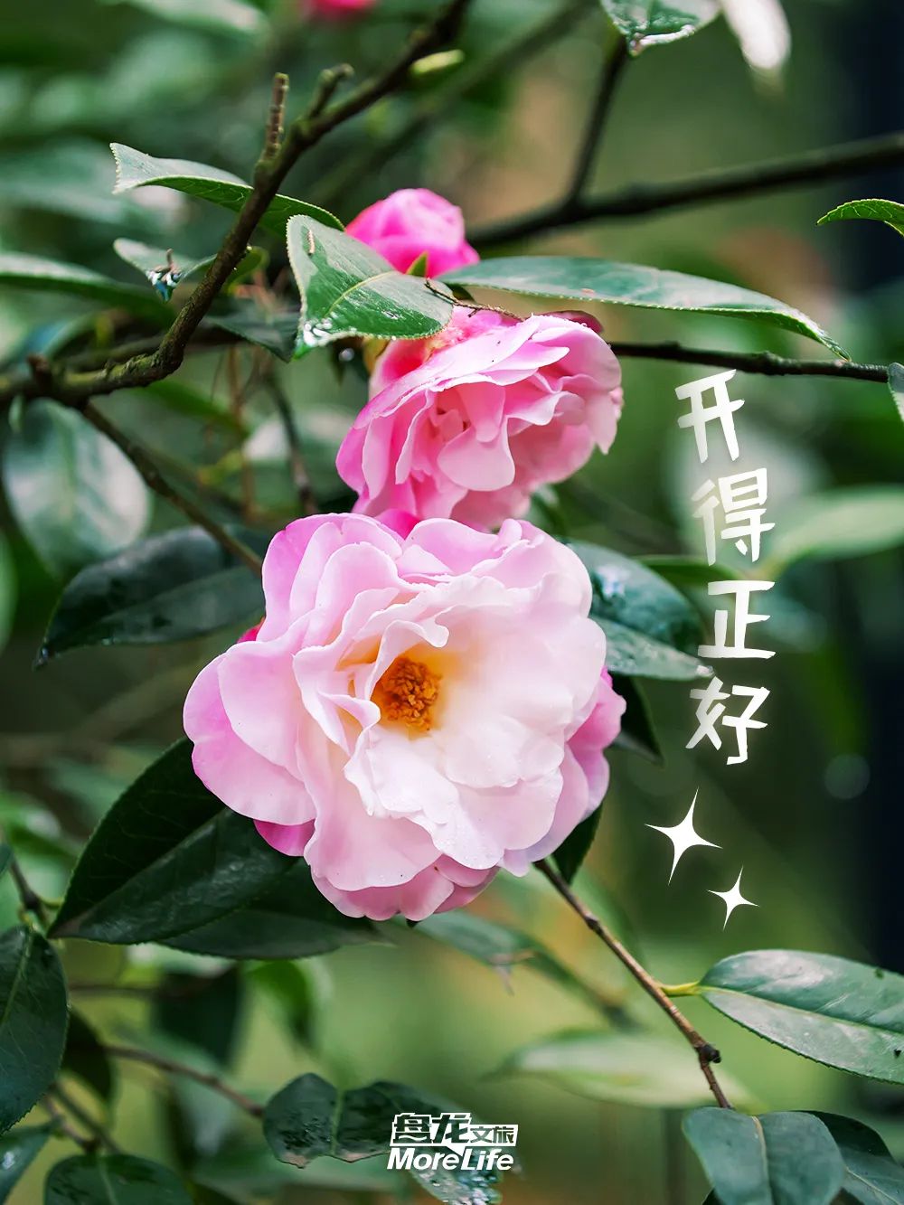 昆明信息港