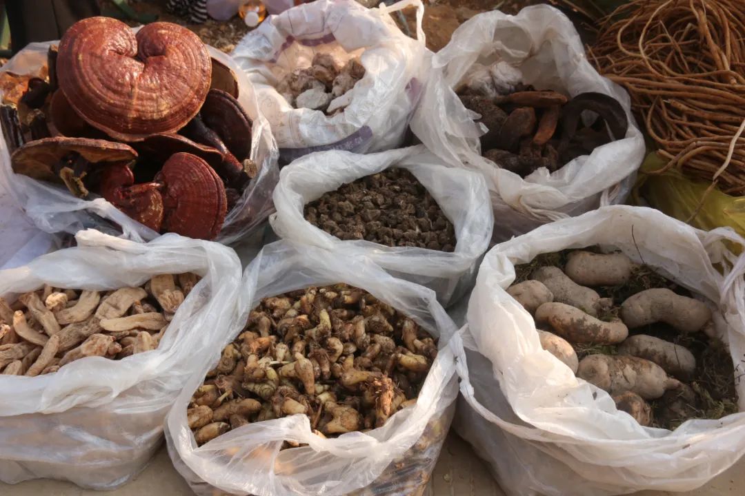 保山新闻网