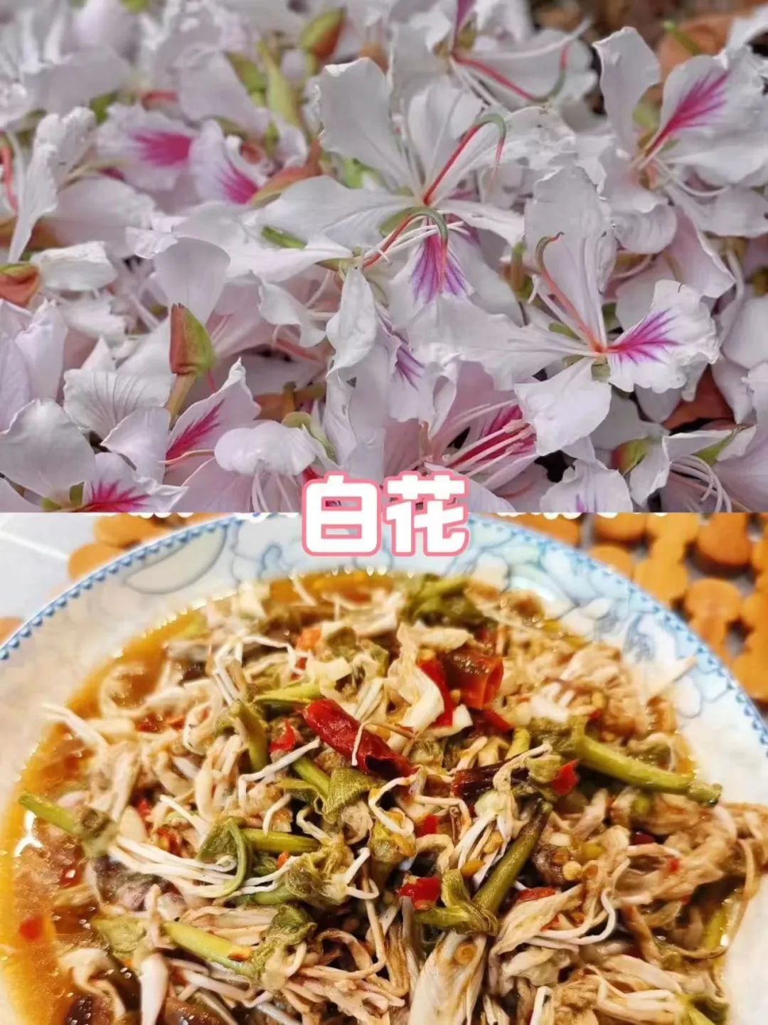 昆明西山发布