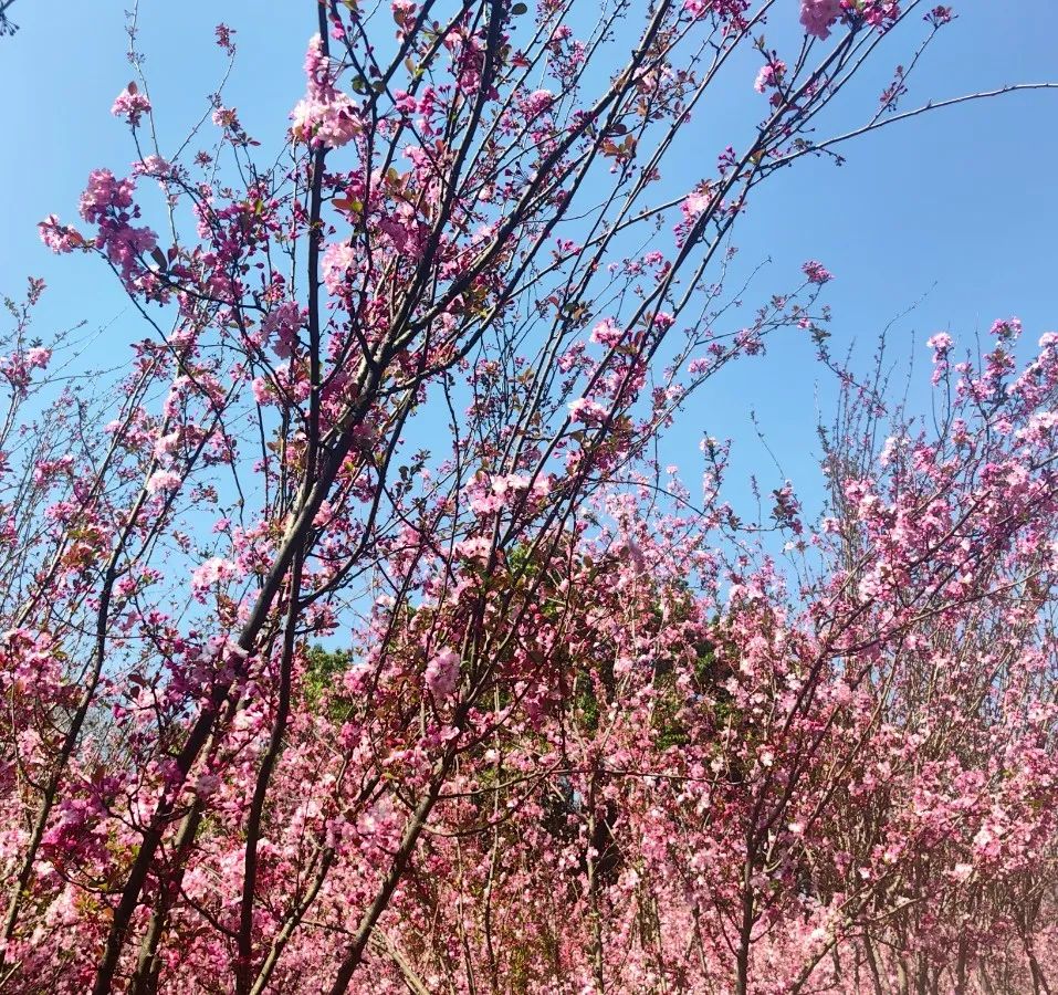 昆明文旅