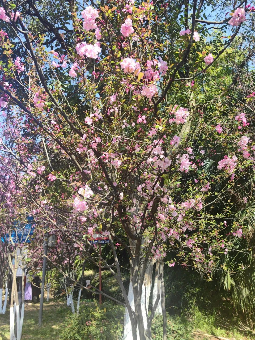 昆明文旅