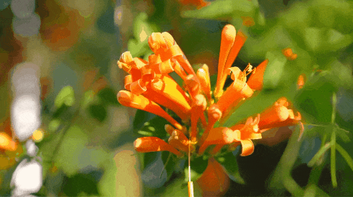 滇池旅游度假区