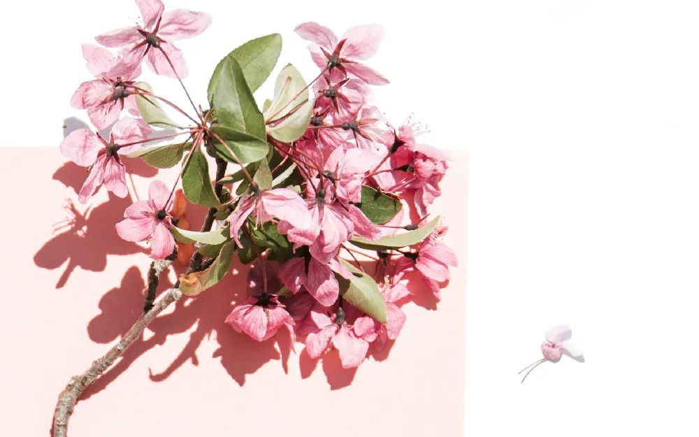 昆明市第一人民医院