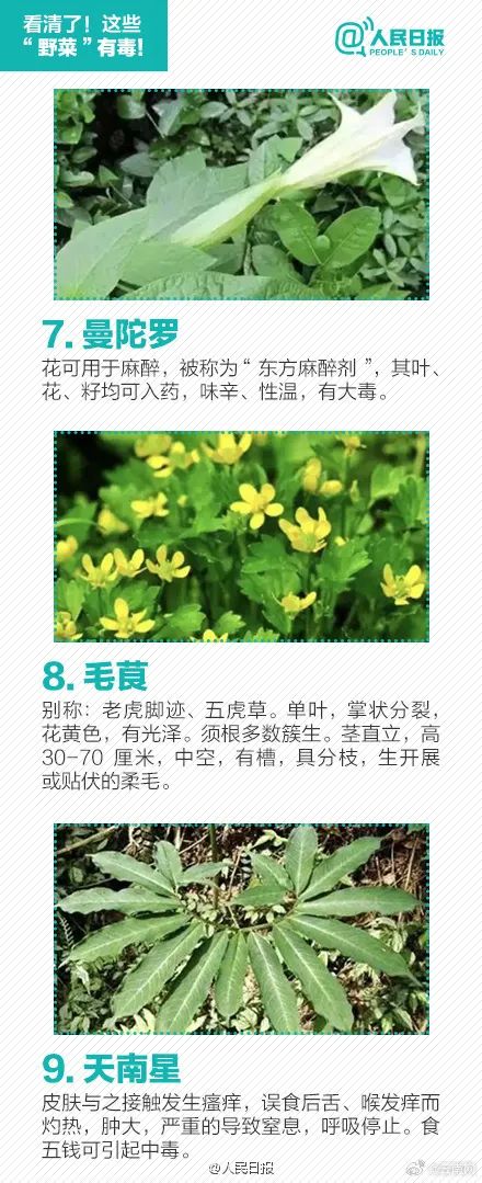 美丽云南微科普