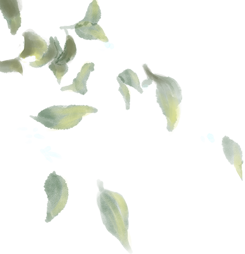 云南中医药大学第二附属医院