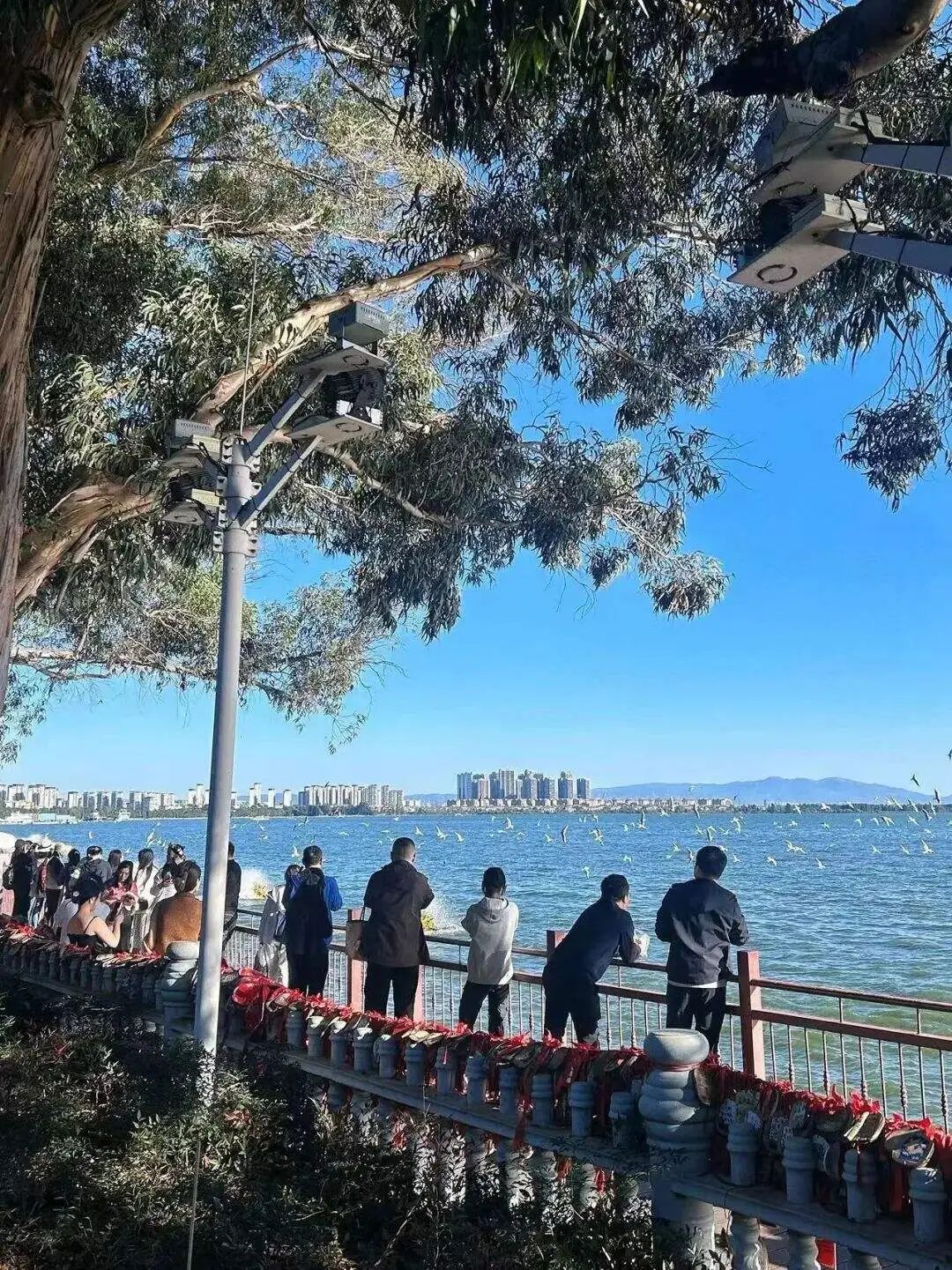 昆明公共文化云