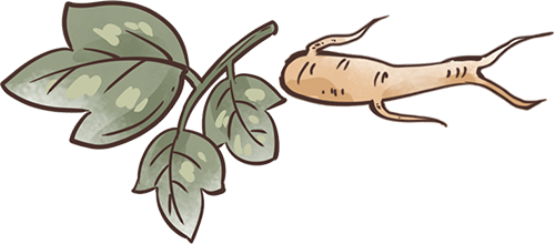 昆明西山教育体育