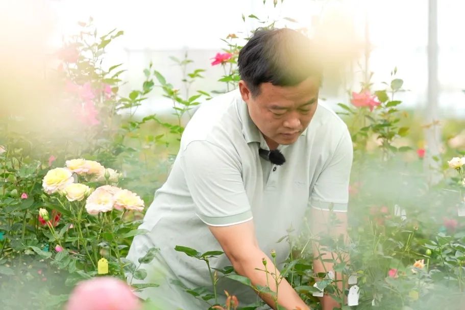 晋宁 诗意的栖居地