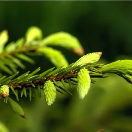 昆明市中医医院