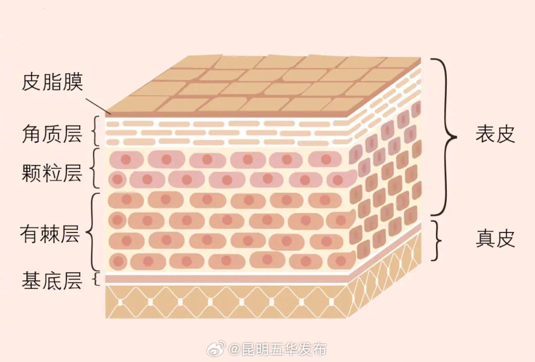 早上不用洗面奶真的对皮肤好吗