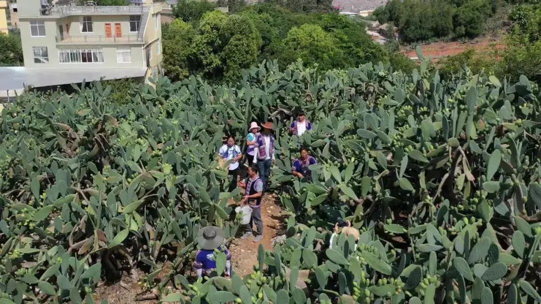 都市时报