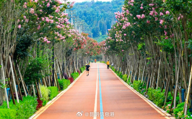 昆明信息港微博