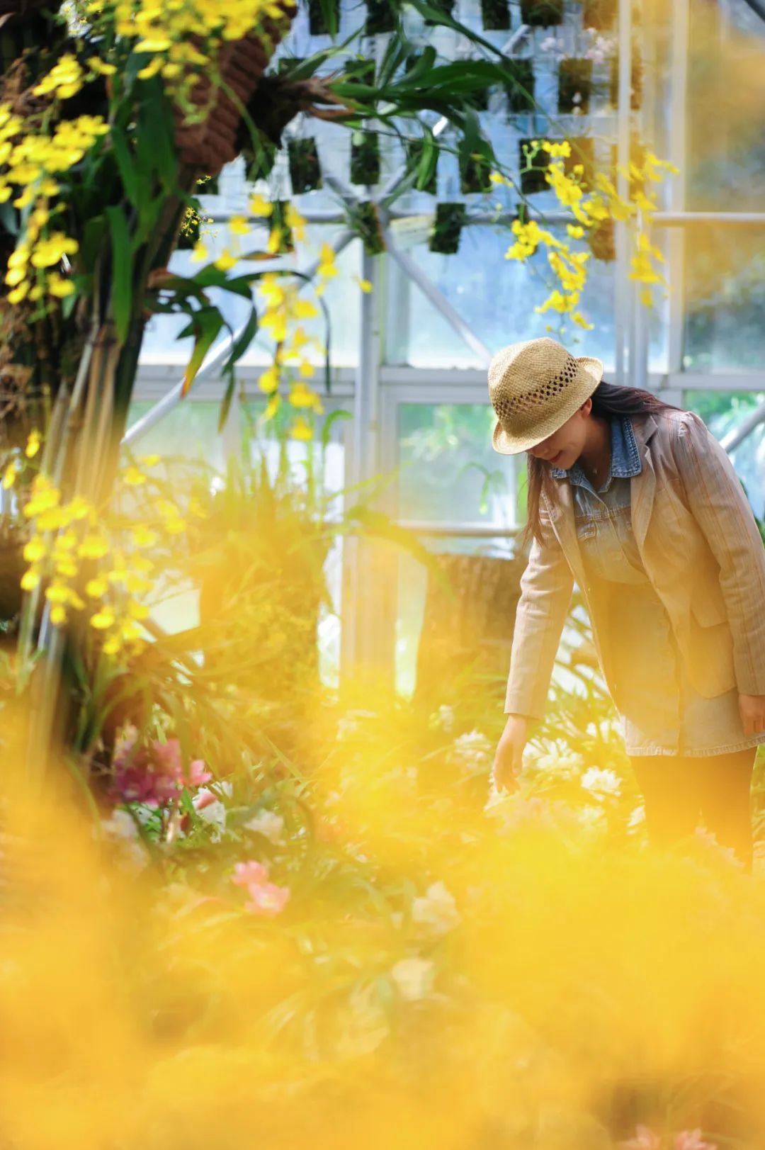 昆明市金殿名胜区