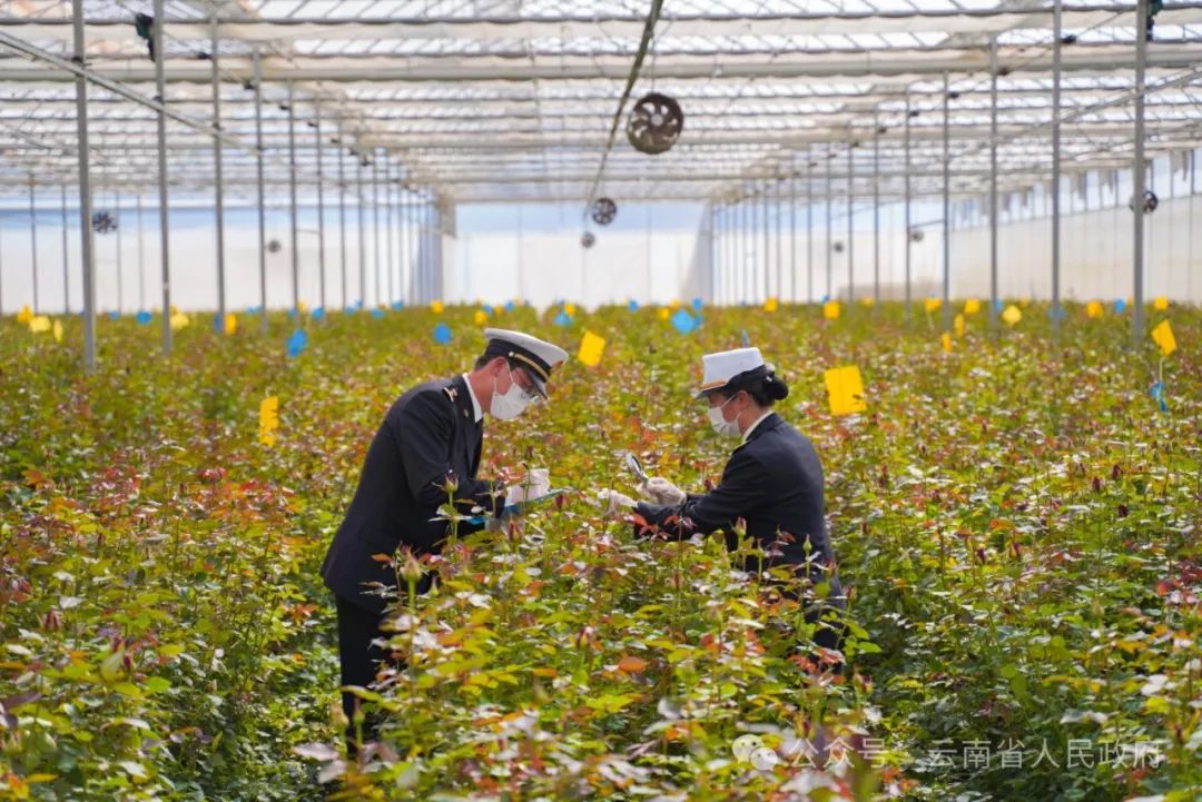 云南省人民政府