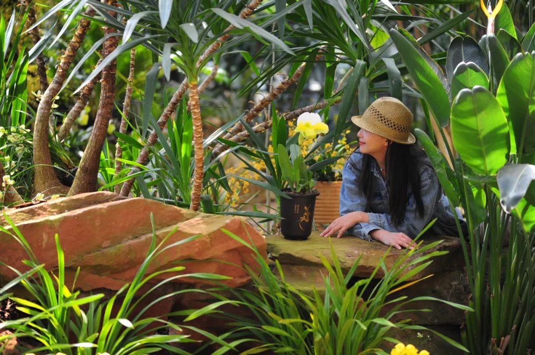 昆明市金殿名胜区