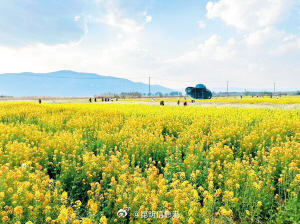 昆明信息港微博