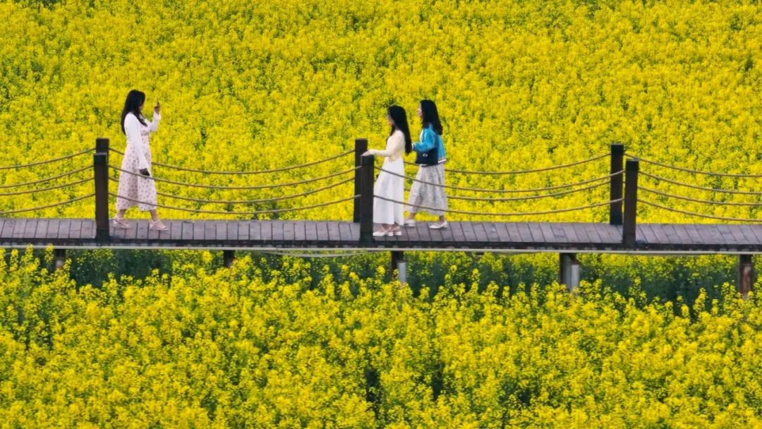 晋宁 诗意的栖居地