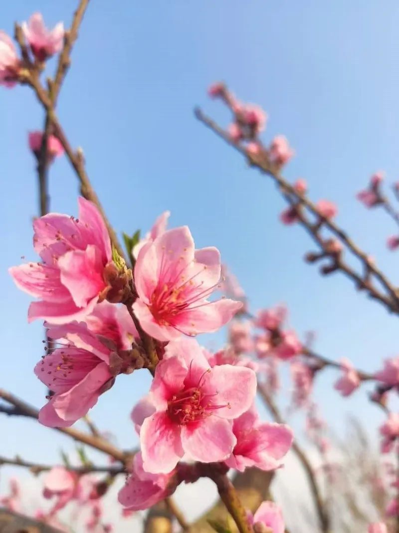 红河文旅