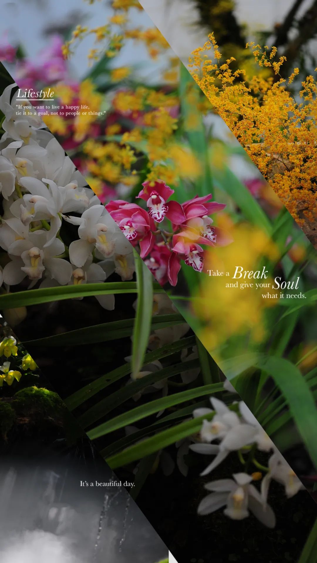 昆明市金殿名胜区