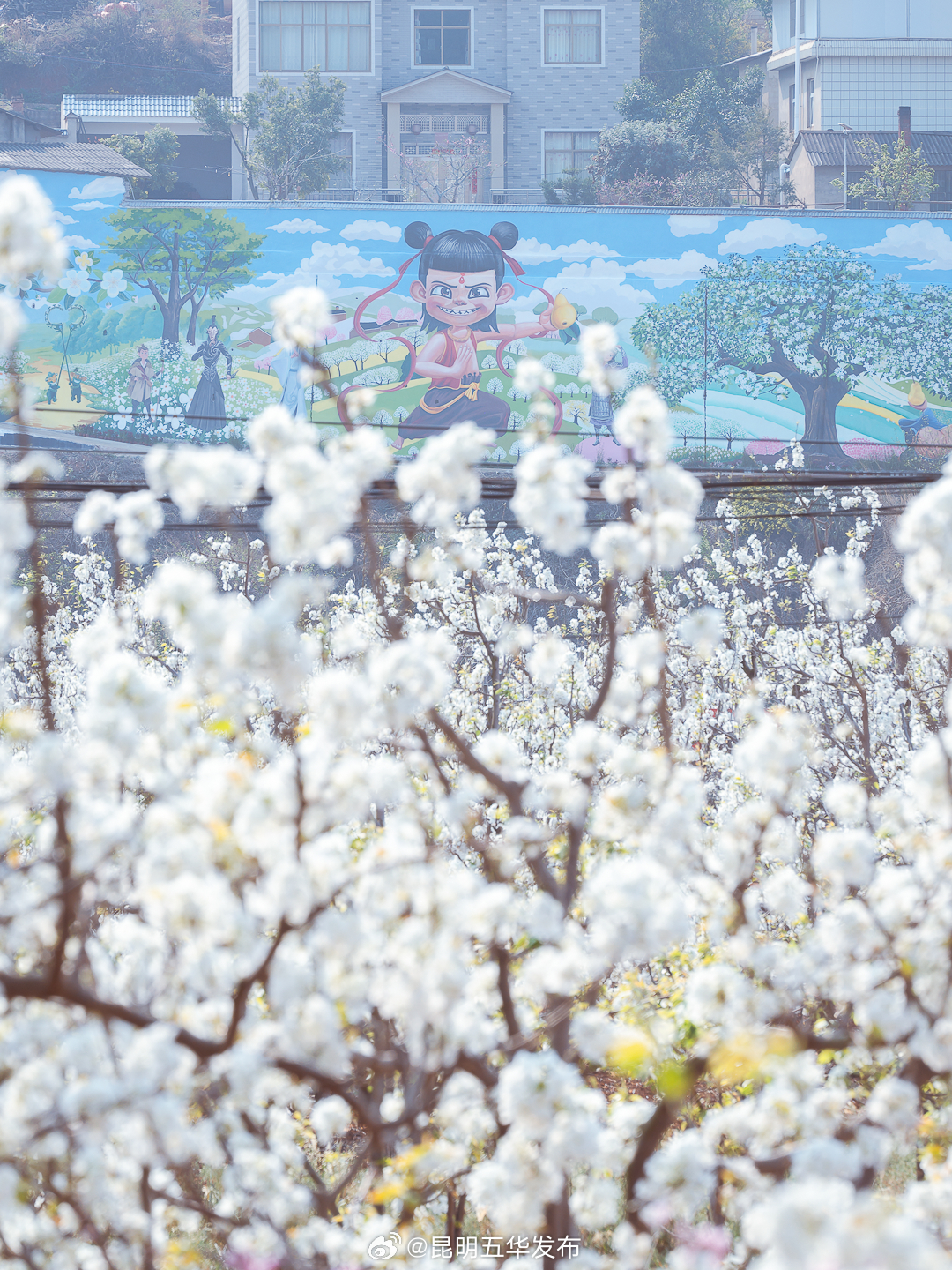 昆明五华发布