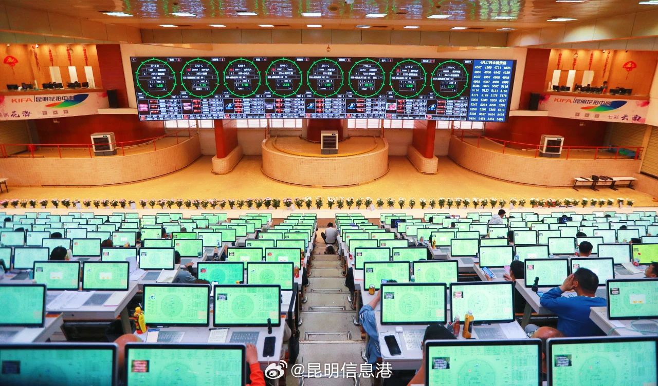 昆明信息港微博