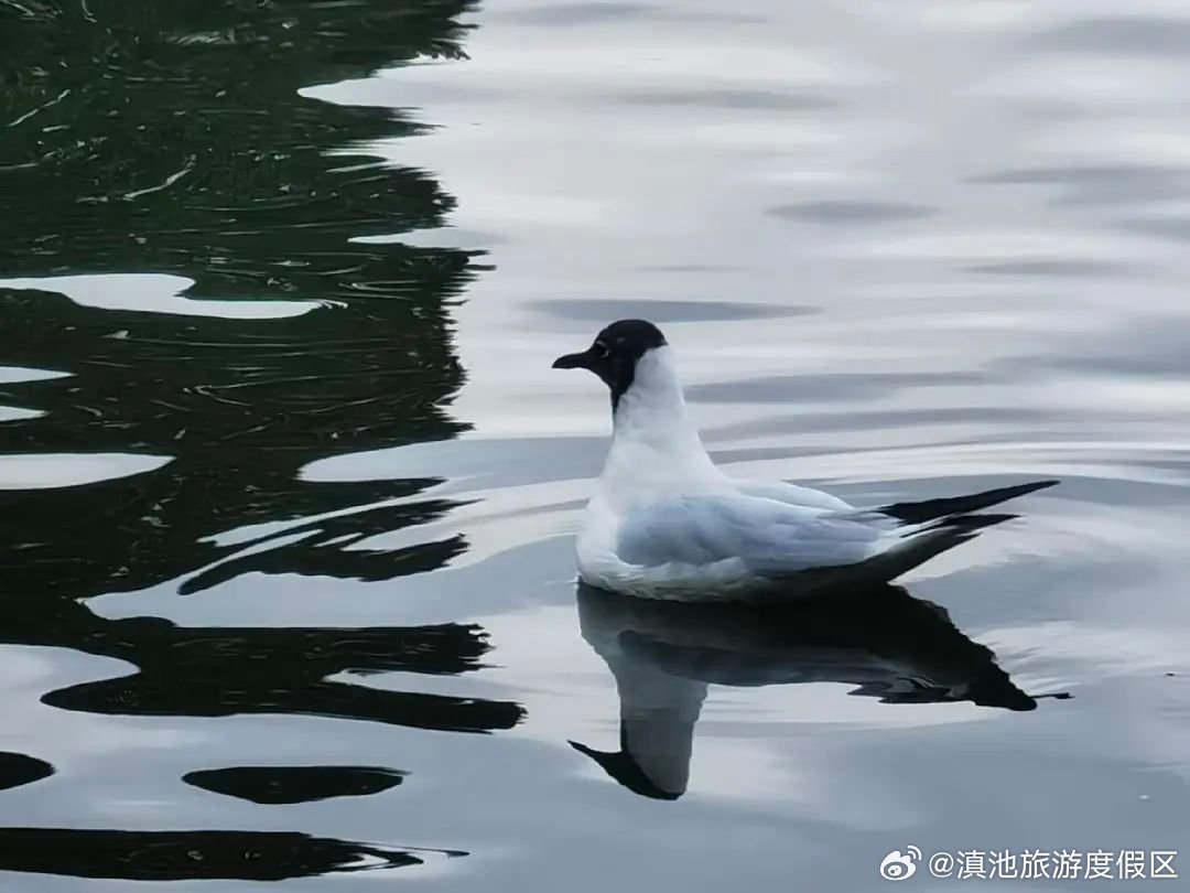 滇池旅游度假区