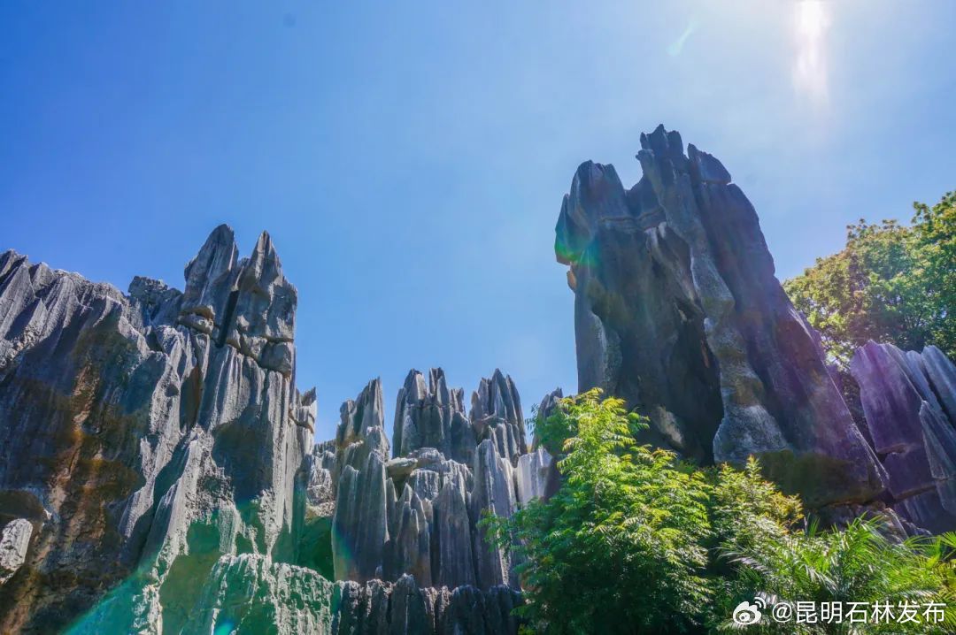 可当天往返！昆明坐高铁最快24分钟直达！这些城市景美又好玩！