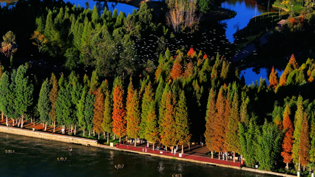 昆明公共文化云