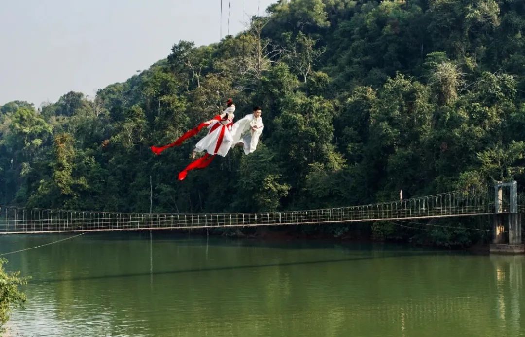 西双版纳望天树景区