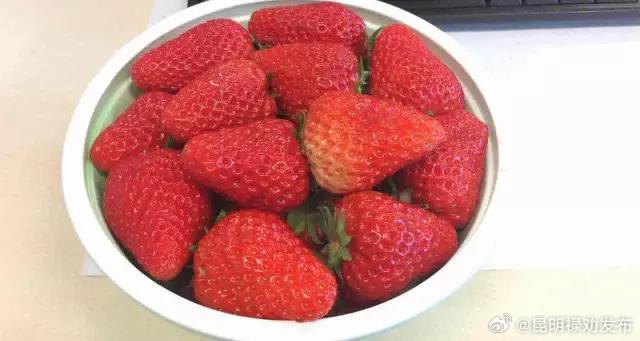 草莓个头大跟激素无关