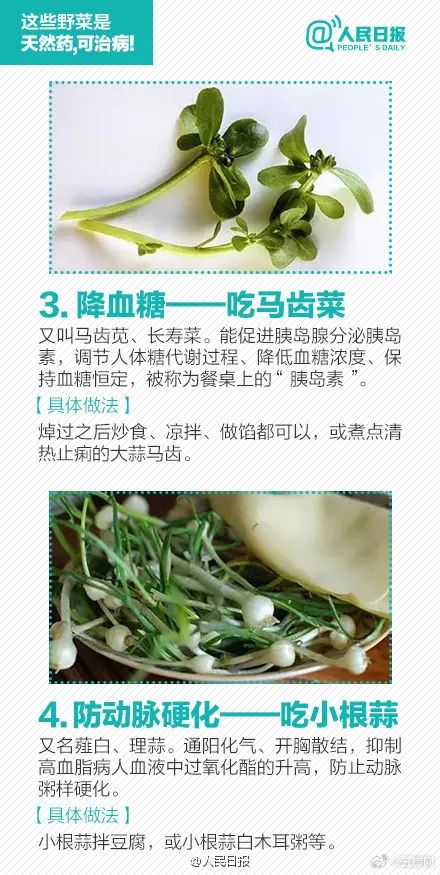 美丽云南微科普