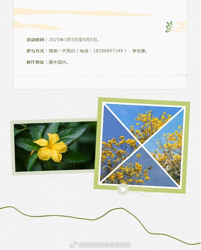 西双版纳热带植物园