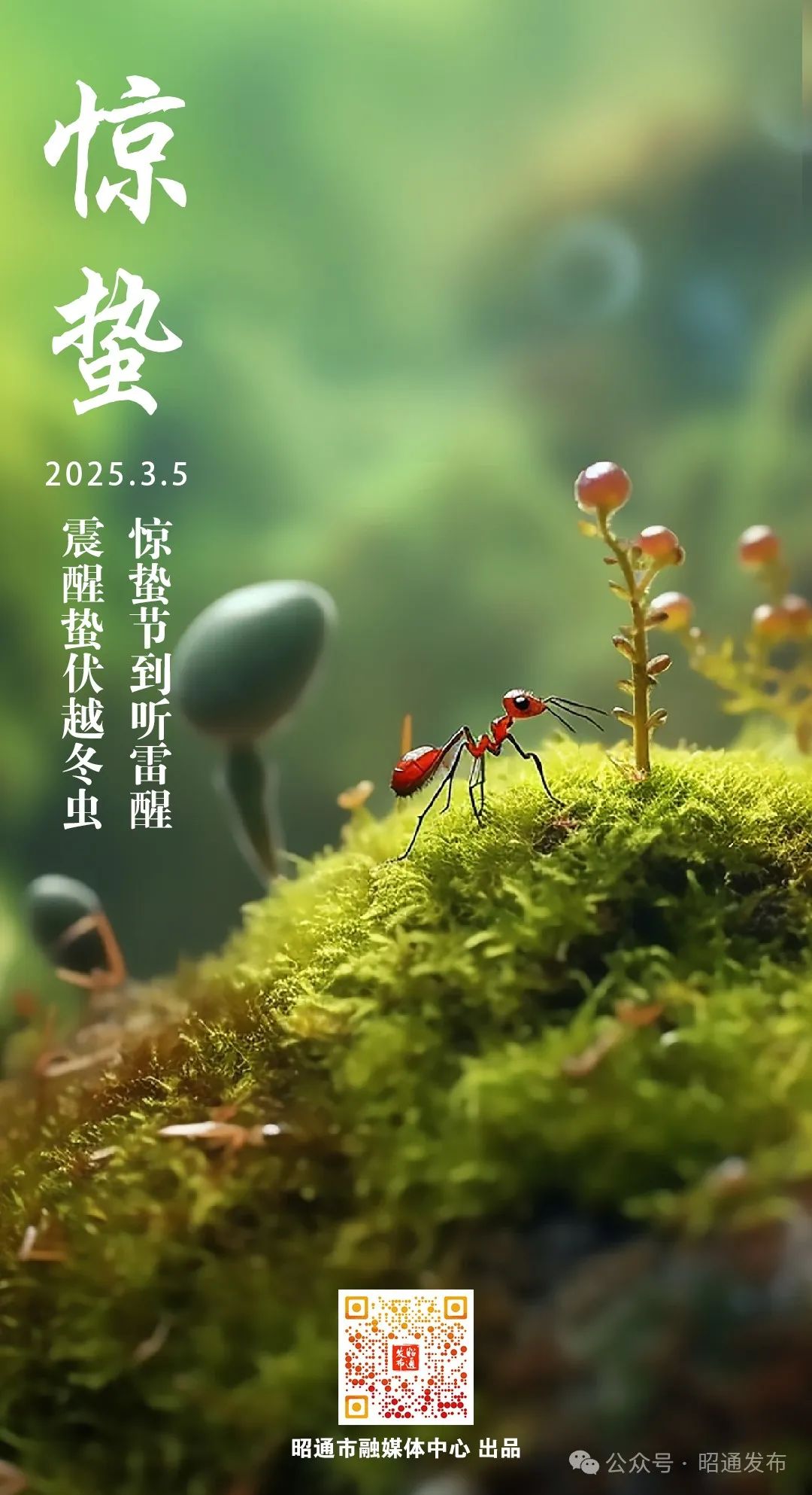 昭通日报