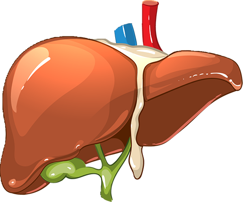 云南省第三人民医院