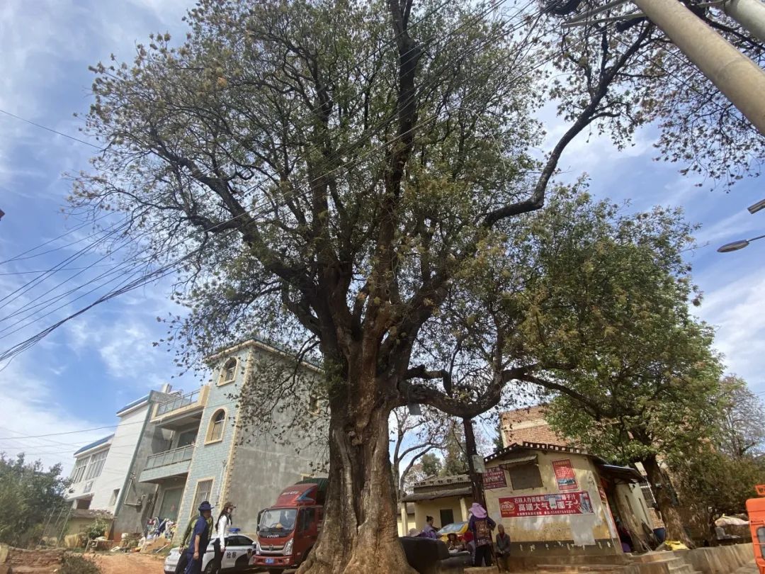 石林县人民检察院