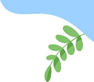 盘龙教育
