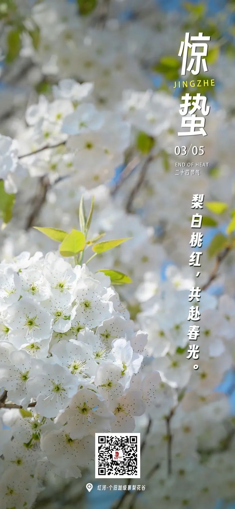 红河文旅