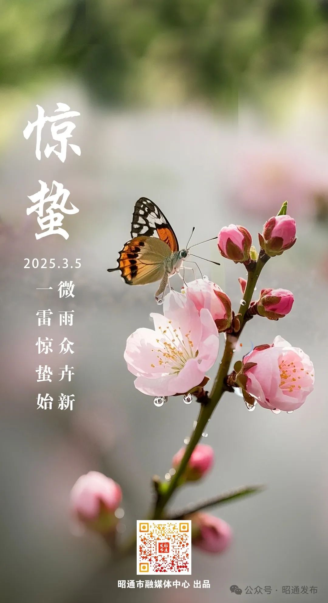 昭通日报