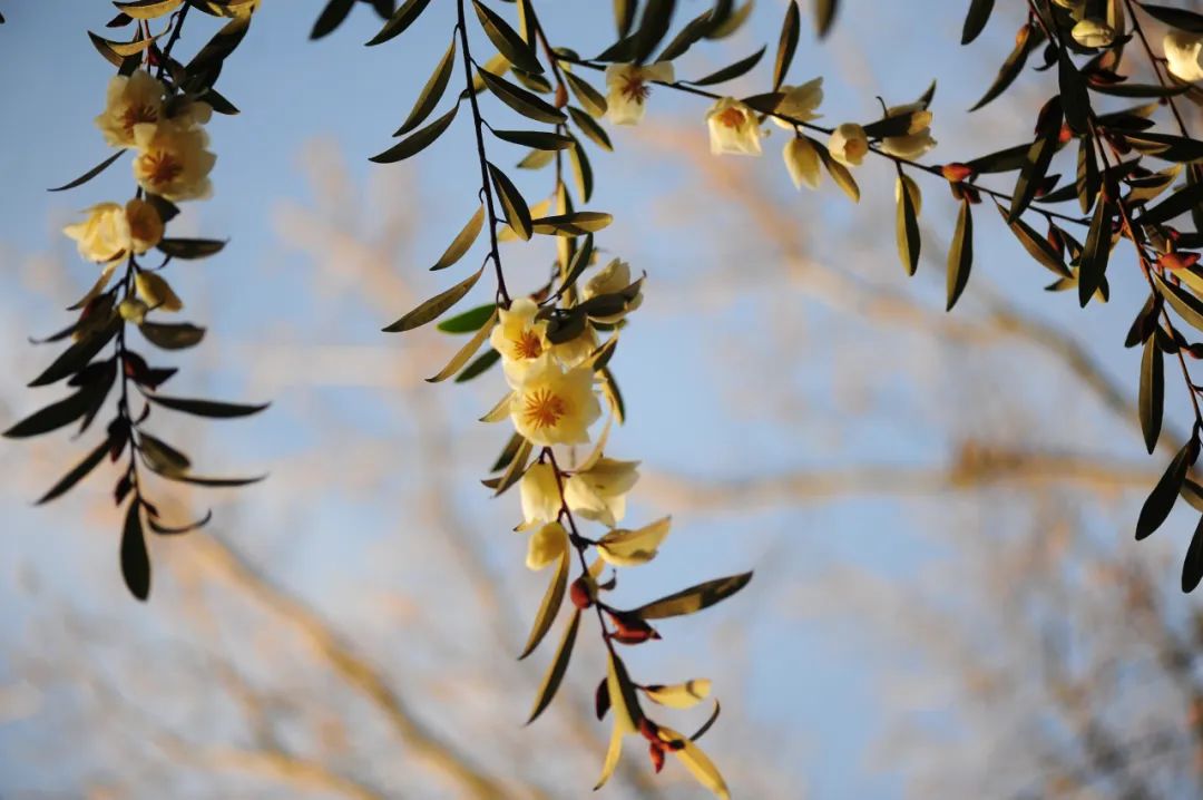 昆明市金殿名胜区