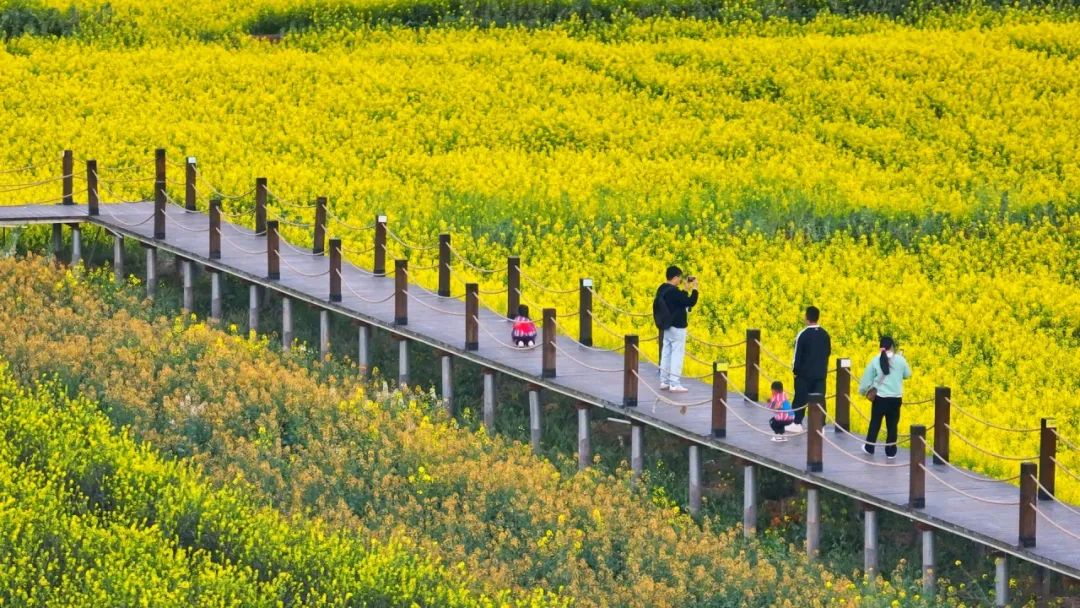 晋宁 诗意的栖居地