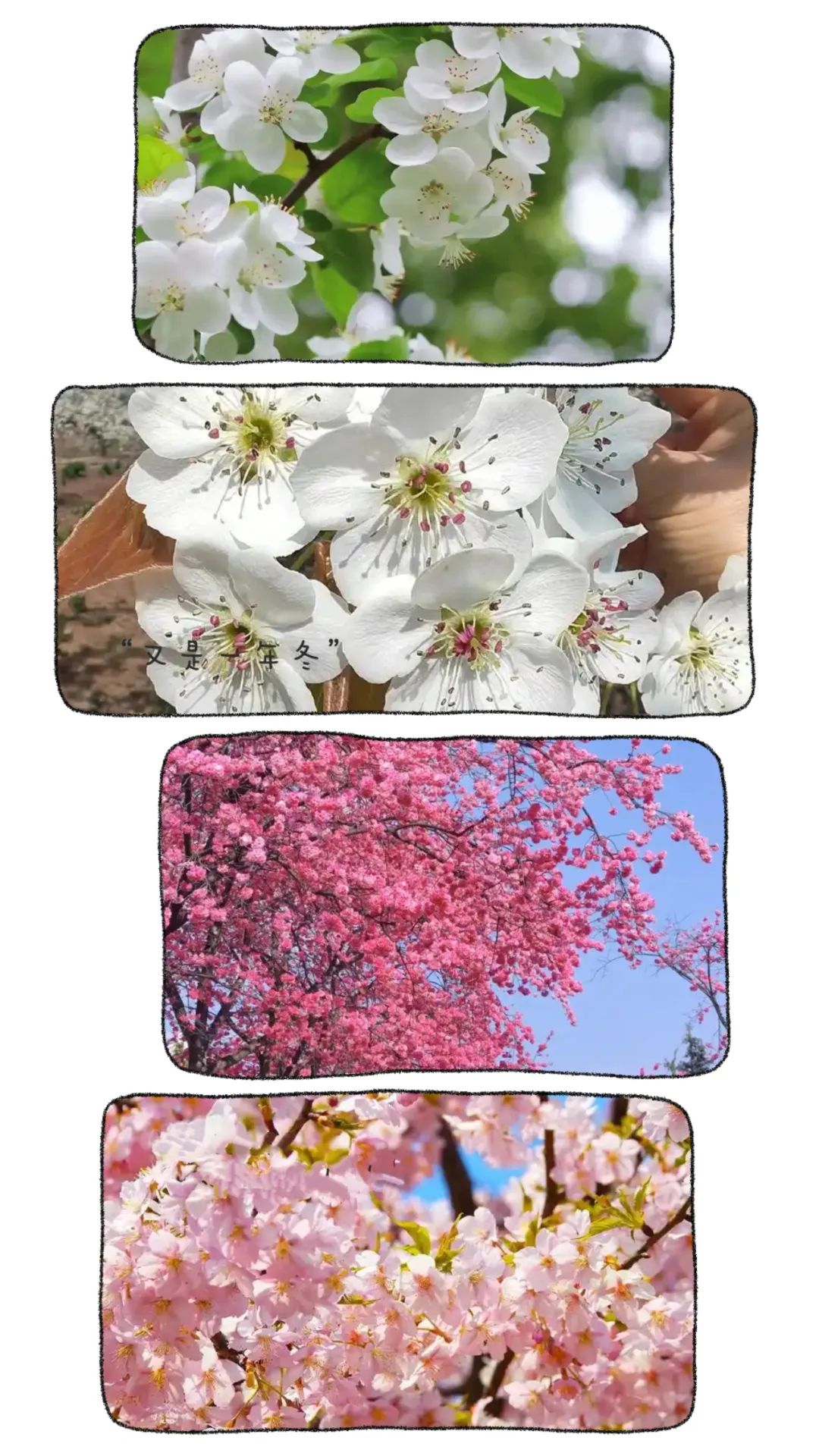 昆明市金殿名胜区