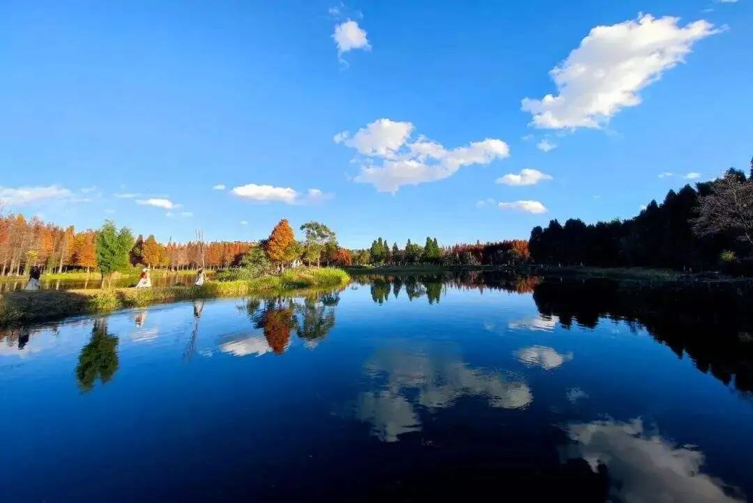 昆明公共文化云