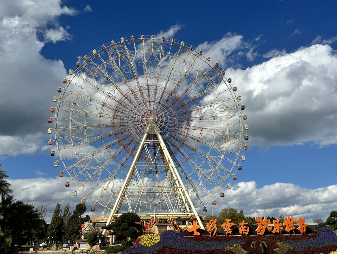 昆明公共文化云