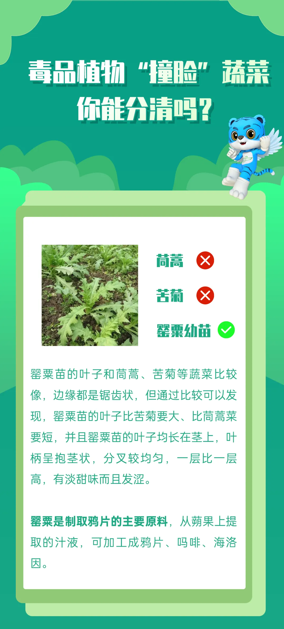 石林融媒