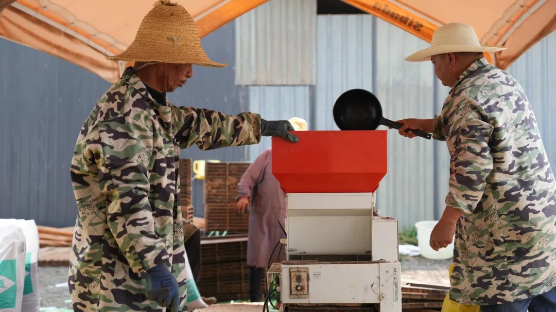 晋宁 诗意的栖居地