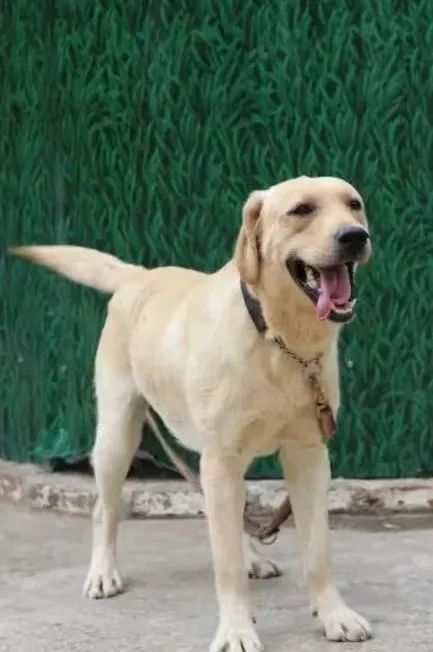 都市时报