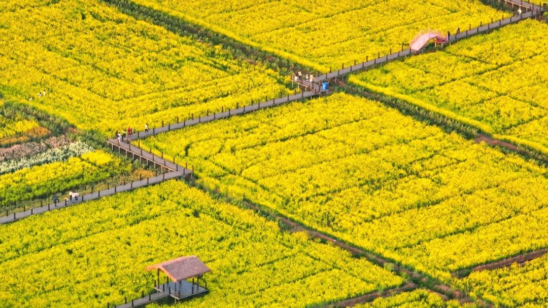 晋宁 诗意的栖居地
