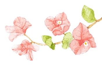 云南省中医医院