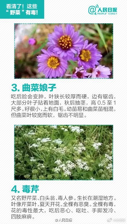 美丽云南微科普