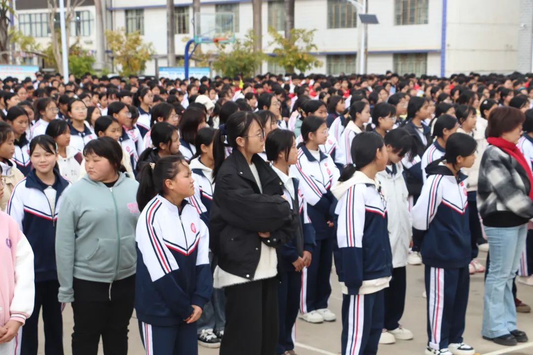 云南政法